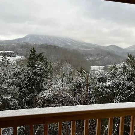 Bear Country Cabin Sevierville Extérieur photo