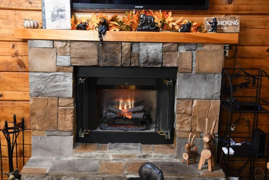Bear Country Holiday home
